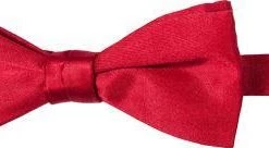 Ascot Schleife 4150400/3