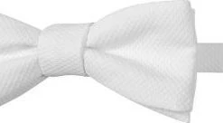 Ascot Schleife 4150402/1